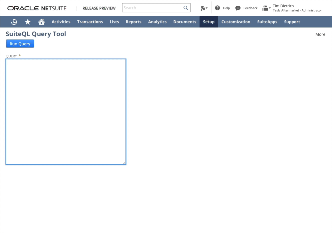 NetSuite SuiteQL Query Tool (Suitelet)