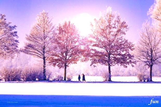 Iphone11・Iphonexrロック画面等のおしゃれな冬の無料壁紙が取り放題 Iphoneロック画面等おしゃれな冬の無料壁紙を機種サイズごとに配信中