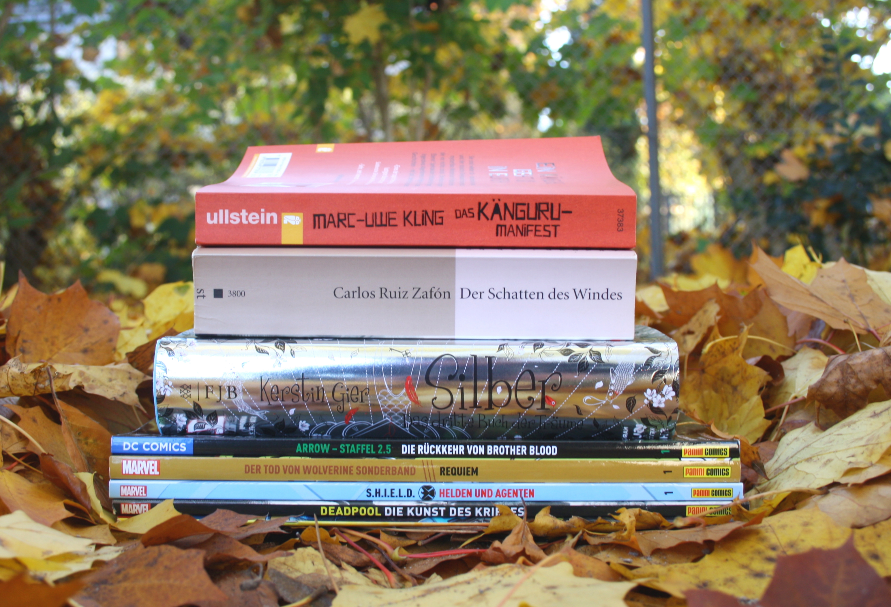 Lesemonat Oktober 2015 Time and Tea