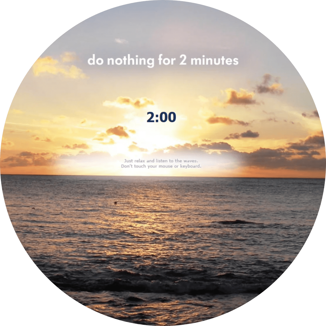 Do Nothing for 2 Minutes Rebecca Chesin, MA