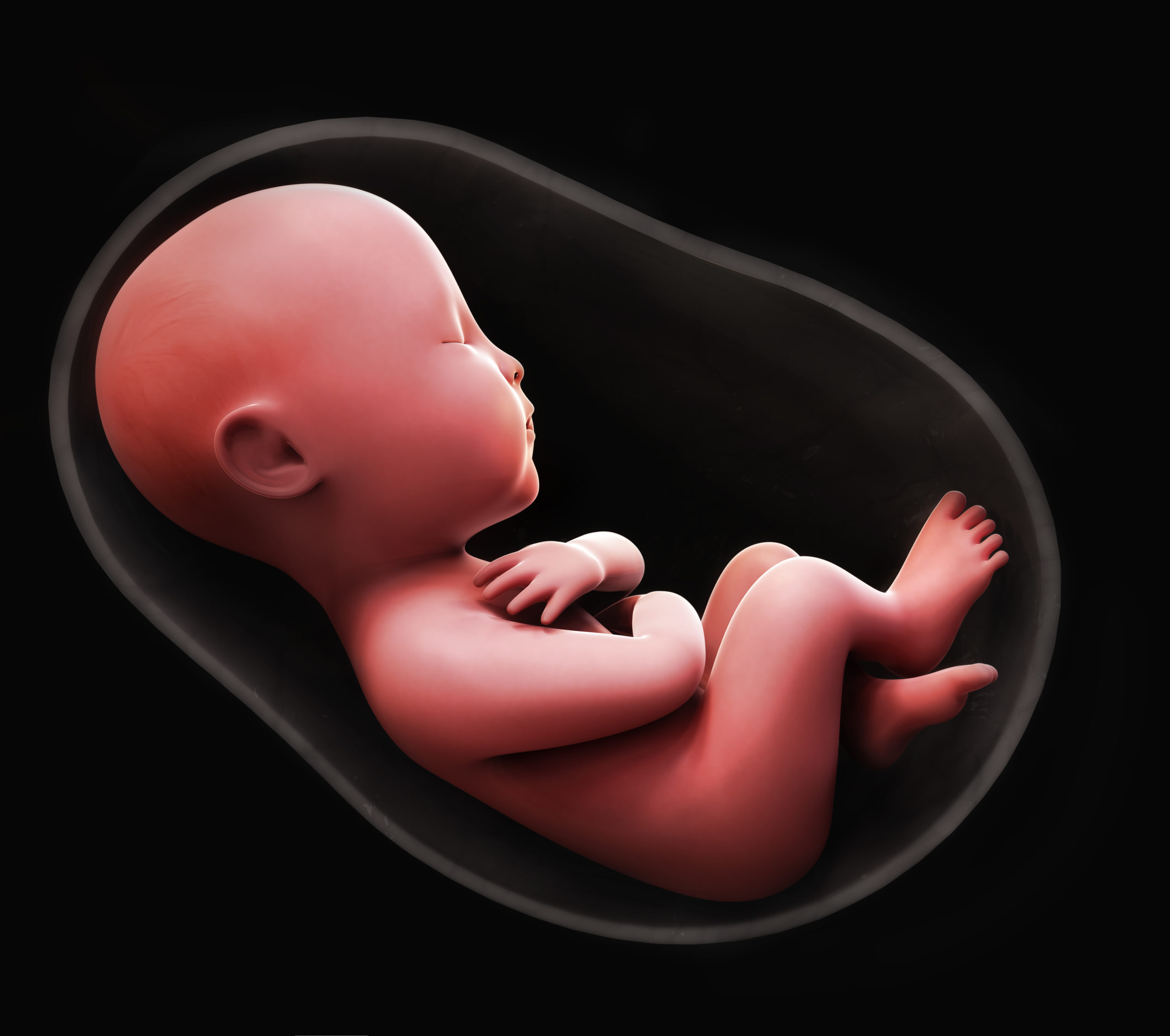 Shielding the Fetus From the Coronavirus Time For Families