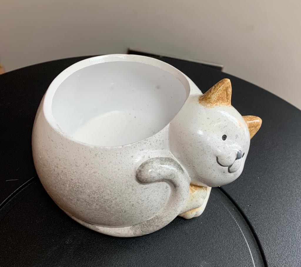 White Terracotta Cat Planter 2 Assorted 15.5cm Time For Me Beauty