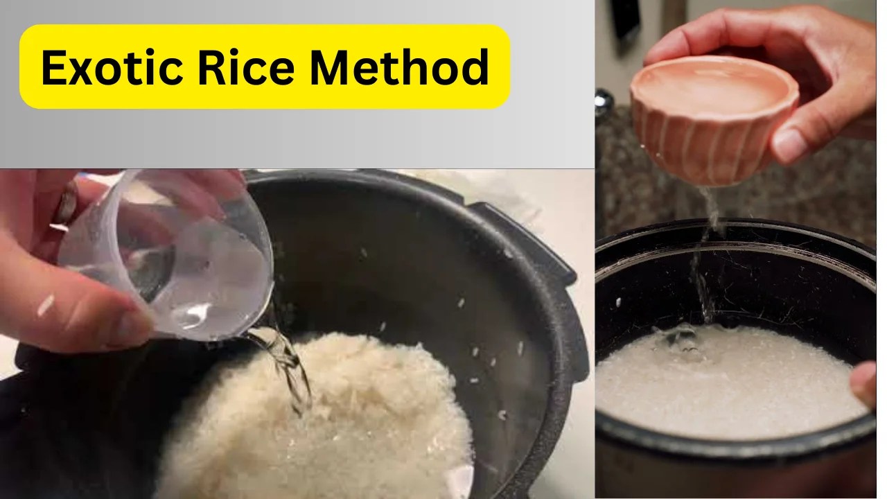 Exposing the Secrets of Exotic Rice Method for Effective Weight Loss