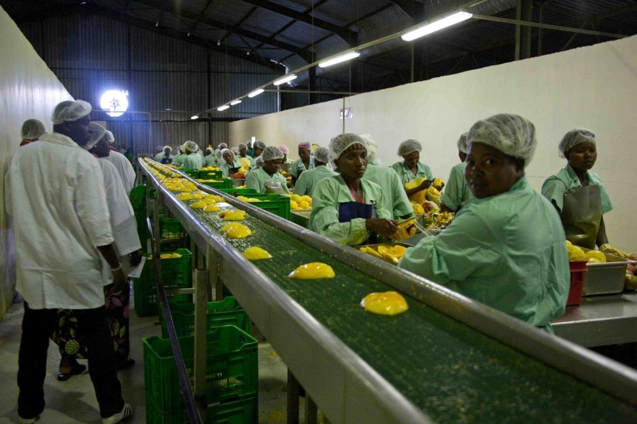 Developing the Mango Processing Industry West Africa Time for Sense