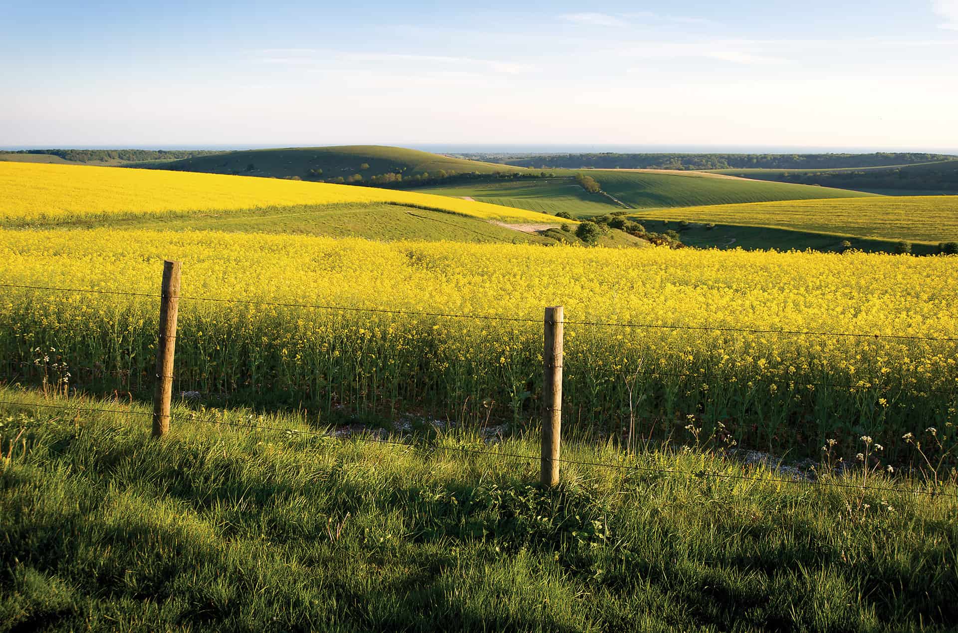 Walking in South Downs National Park Time For Worthing