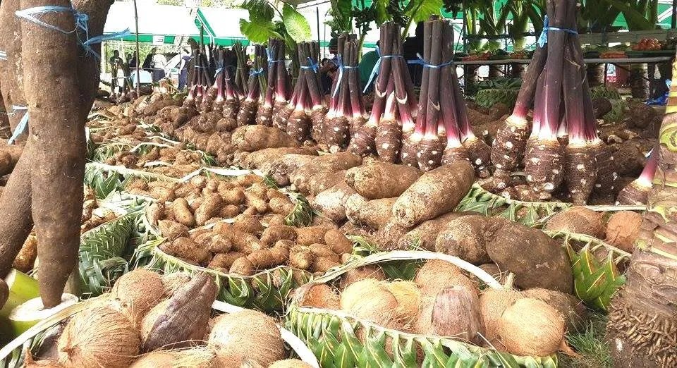 Royal Agricultural Show Timeless Tonga