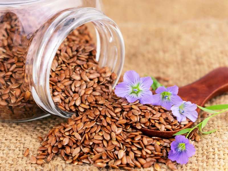 Flax seeds reduce the risk of breast cancer TimesKuwait