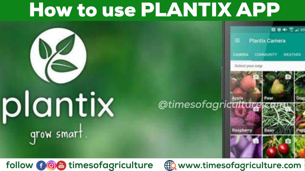 Farmers Plantix App Archives - TIMES OF AGRICULTURE