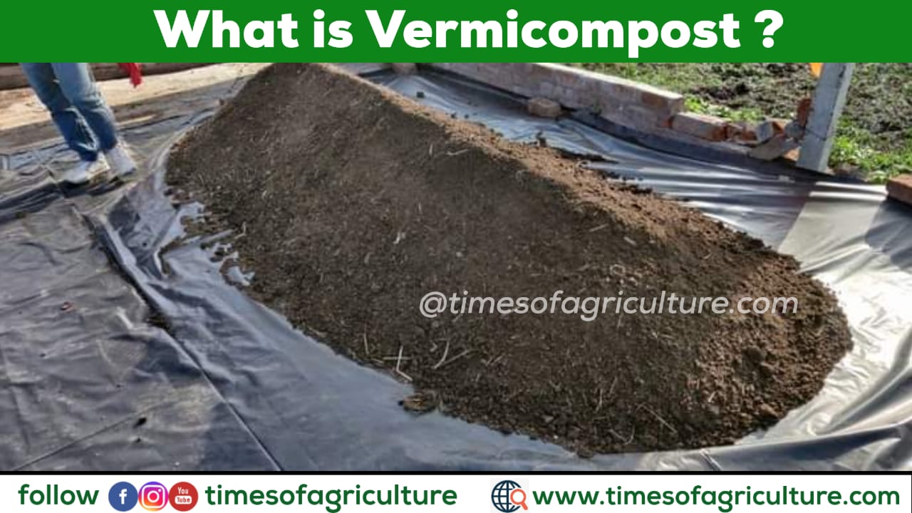 What is TIMES OF AGRICULTURE