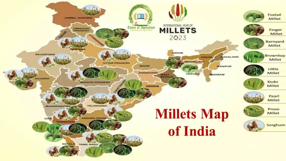 Millet Production Map Of India