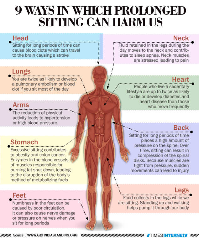 Infographics 9 ways in which prolonged sitting can harm us Times of