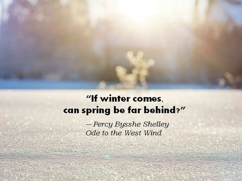 10 winter quotes to warm you up 15 Minute News