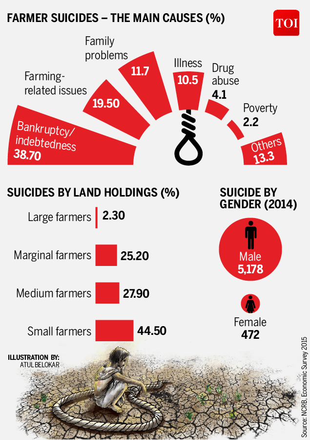 Infographic Debt main cause of over 12,000 farmers suicides since 2013 Times of India