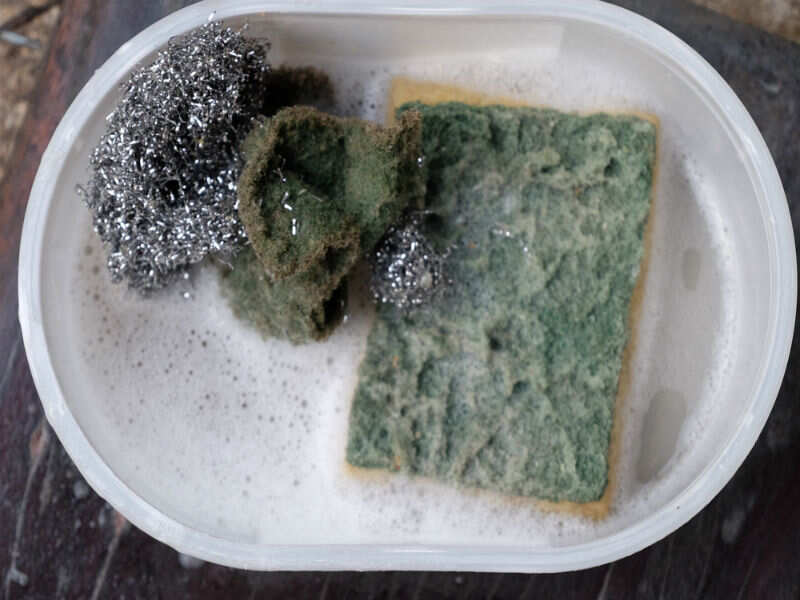Cleaning a dirty sponge makes it worse