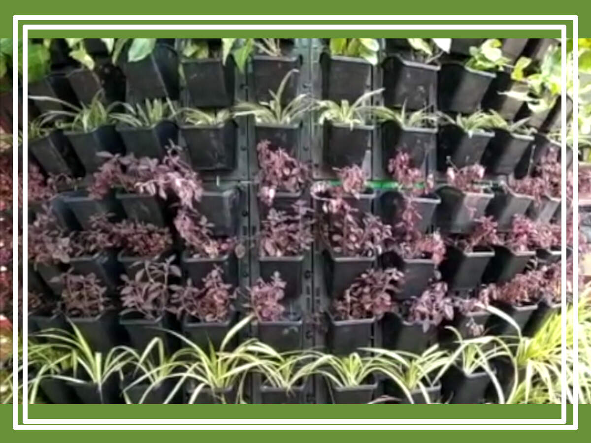 Greater Chennai Corporation installs vertical gardens on flyover