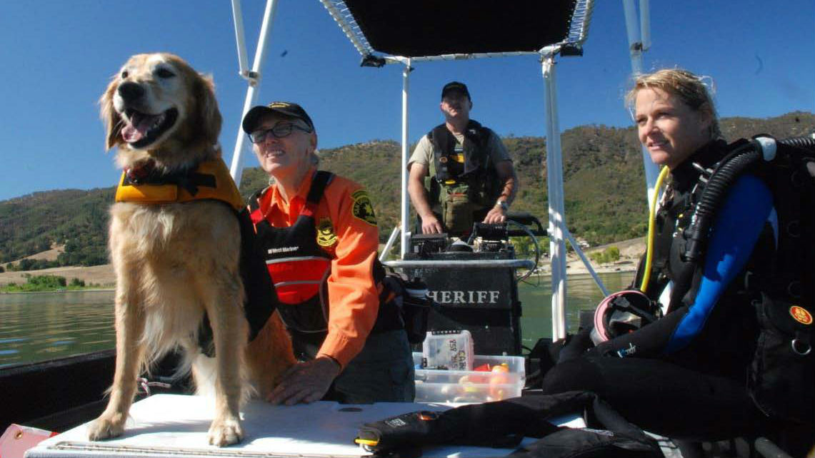 First at Lake Henshaw Dogs Train With Human Divers for Rescues Times