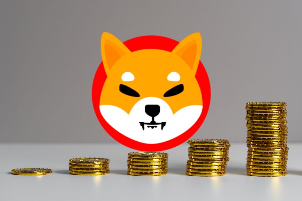 Here's Shiba Inu Price if SHIB Grabs 7 of the Entire Crypto Market Cap