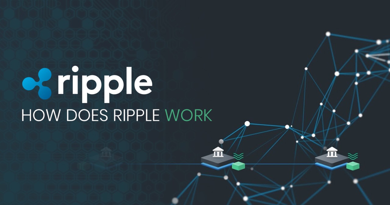 How Does Ripple Work Guide) Timestamp Magazine