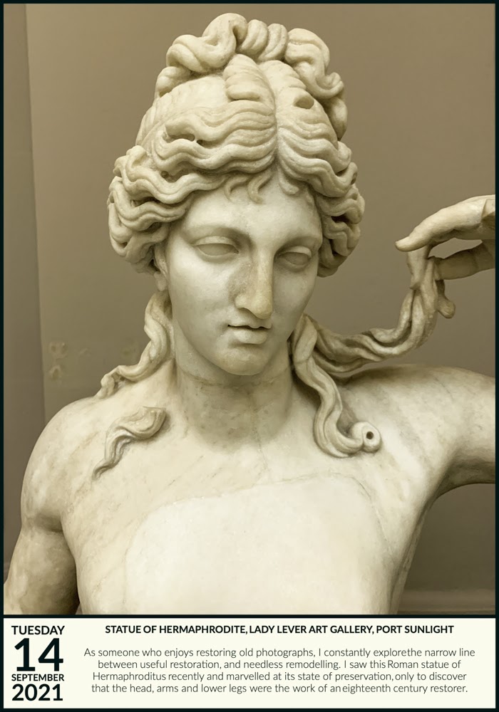 Hermaphroditus Restored