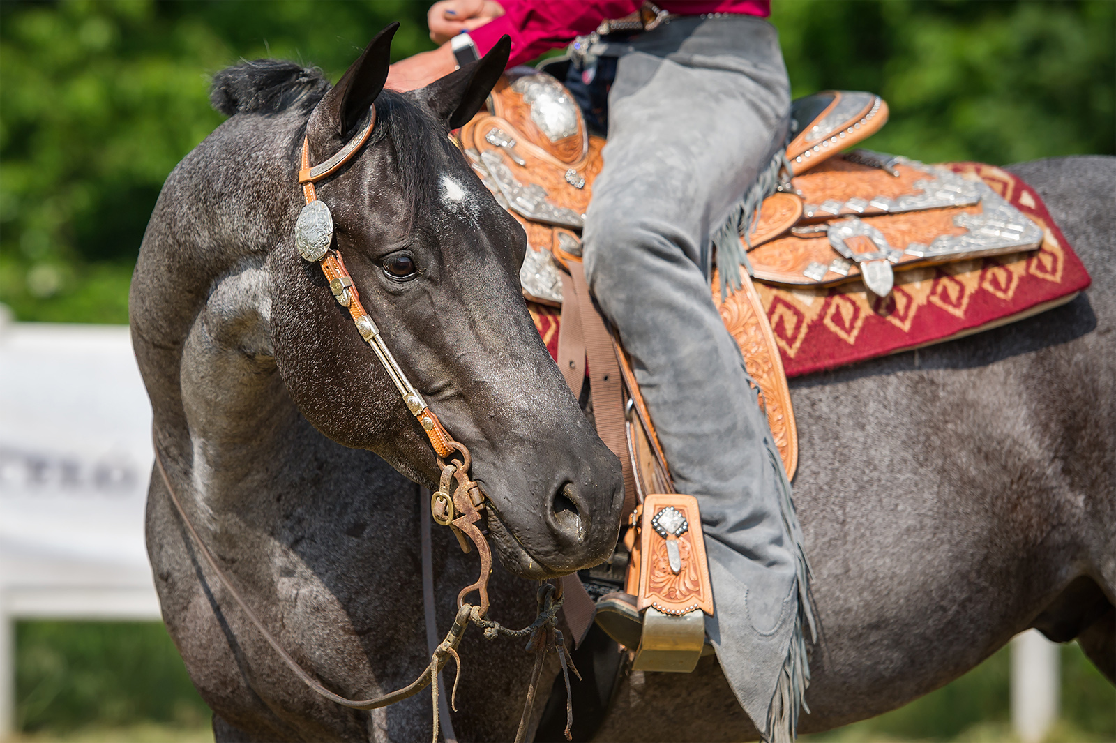 Western Riding