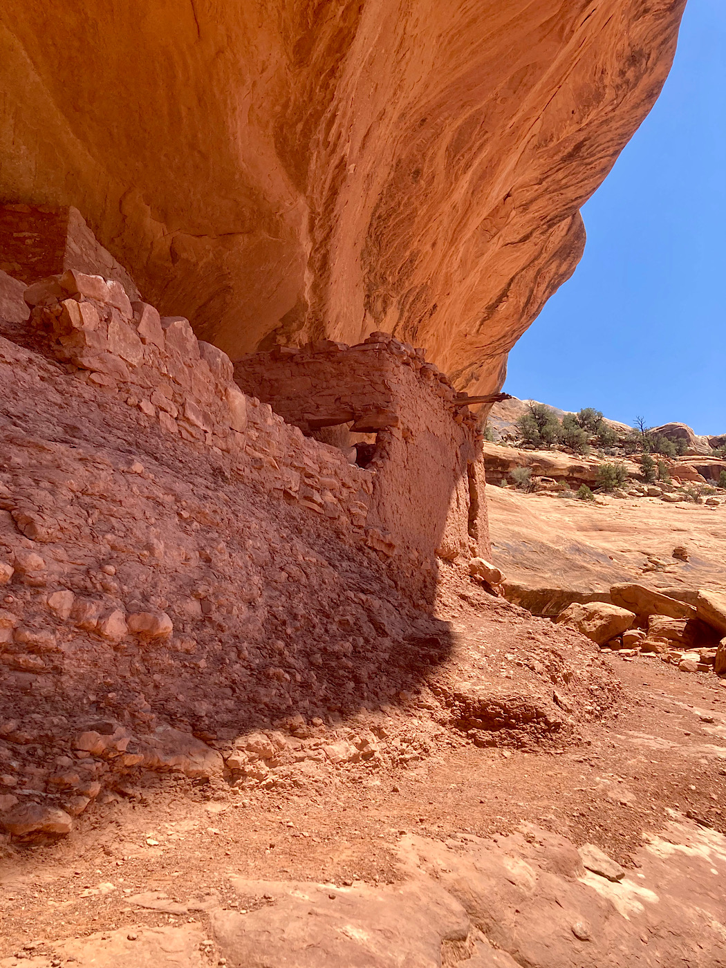Cedar Mesa’s Hidden Gem Exploring Moon House Ruin Utah Time.Travel