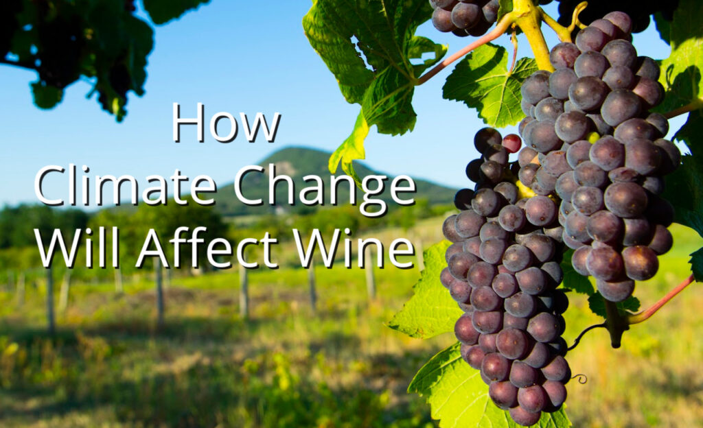 The Grapescape of the Future How Climate Change Will Affect Wine Tim Gaiser MS