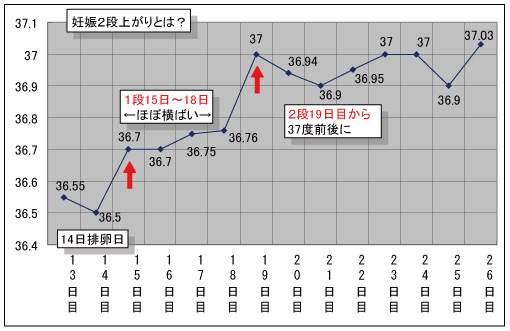 3 タイミング妊娠法ナビ