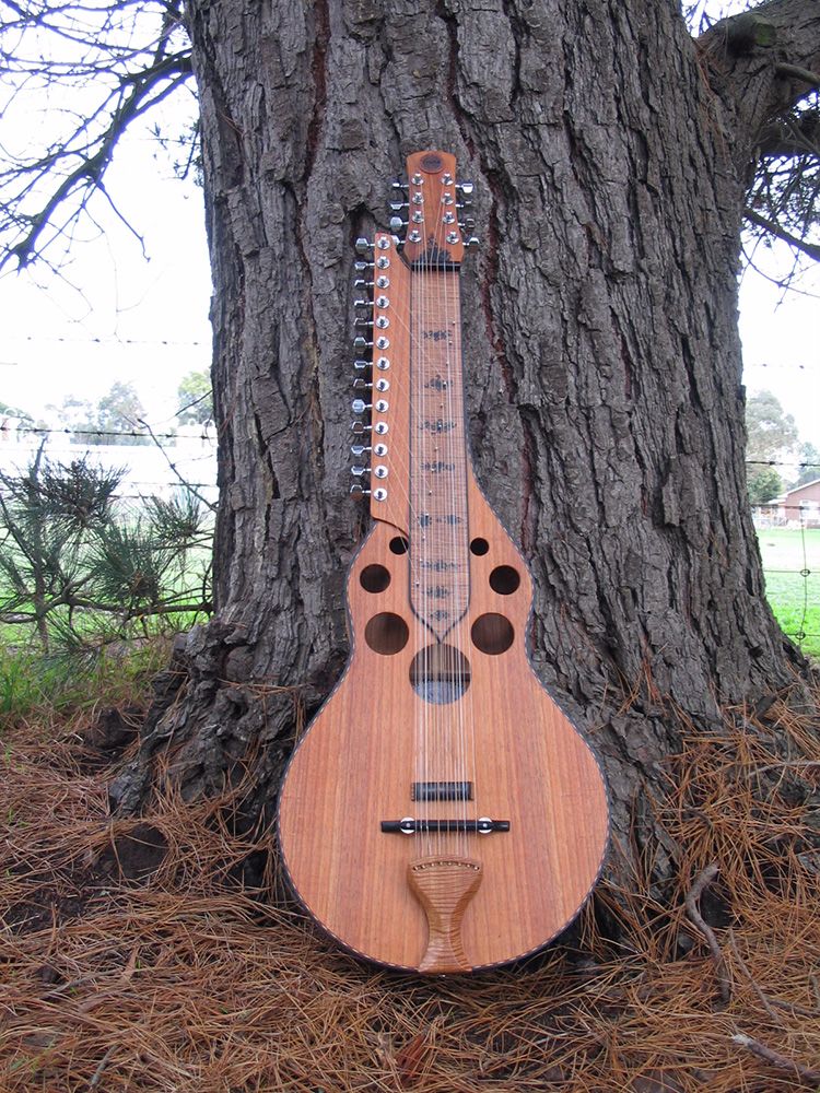 Indian Classical Slide Guitars Tim Kill Custom