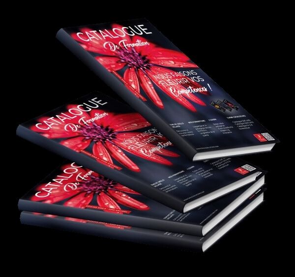 TIMLOG de formation au maroc