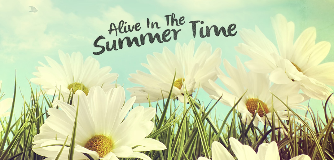 "Alive In The Summer Time" Now Available For License! Tim McMorris