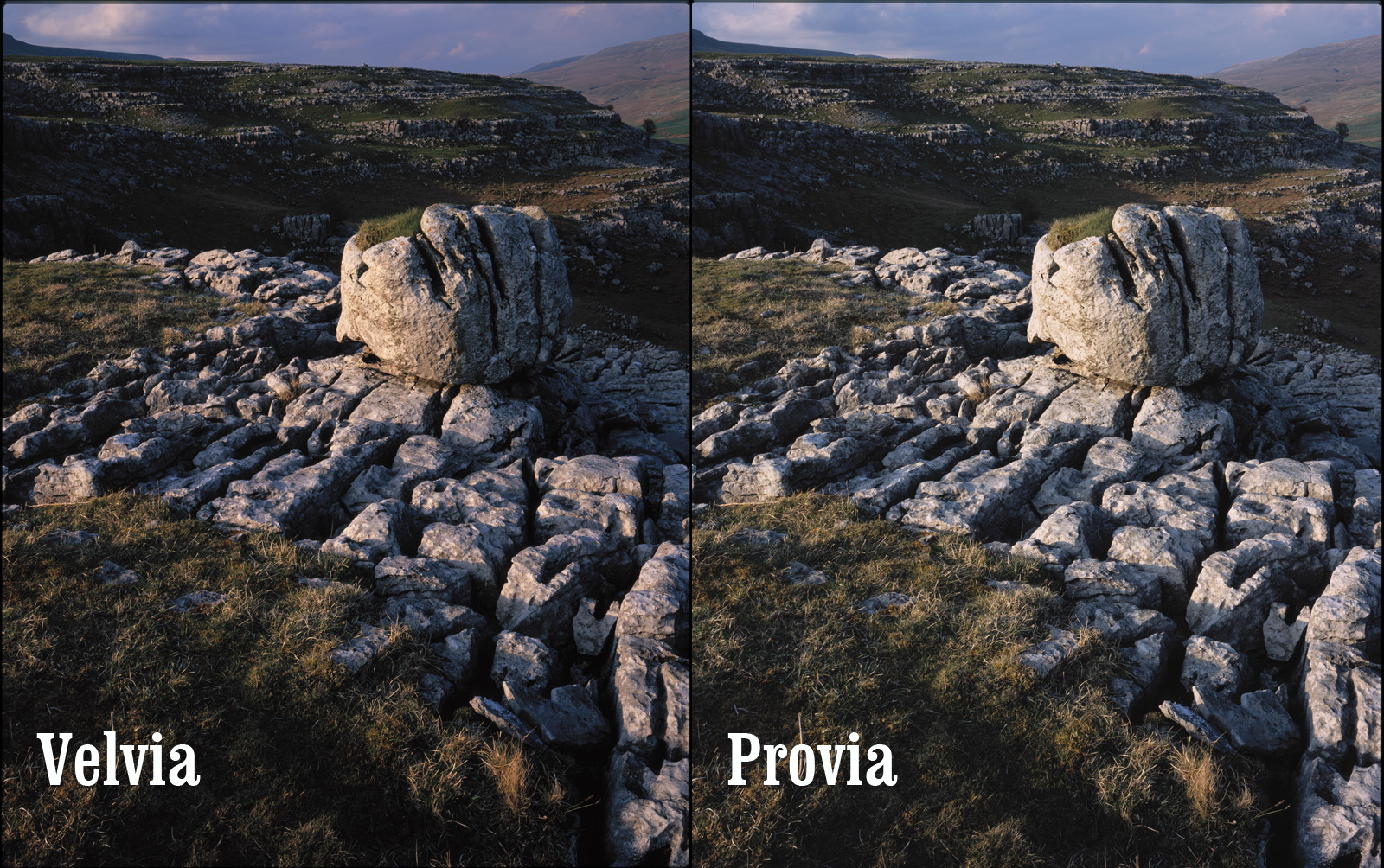 Fuji Velvia, Provia, Astia, and Pro160 Still Developing