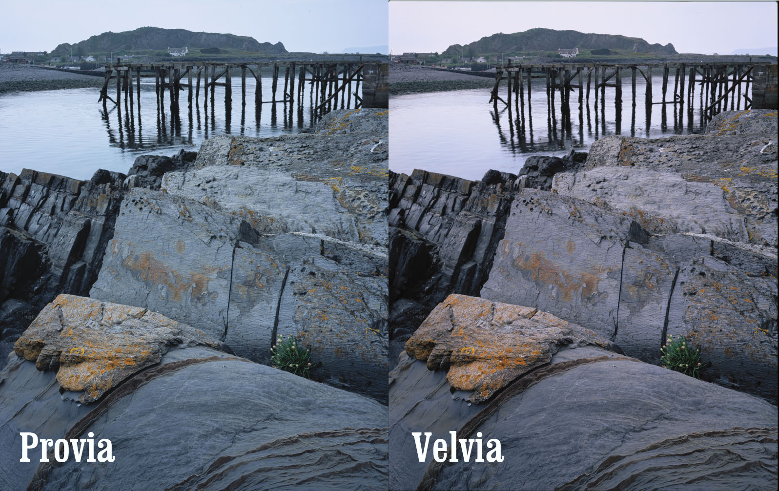 Fuji Velvia, Provia, Astia, and Pro160 Still Developing