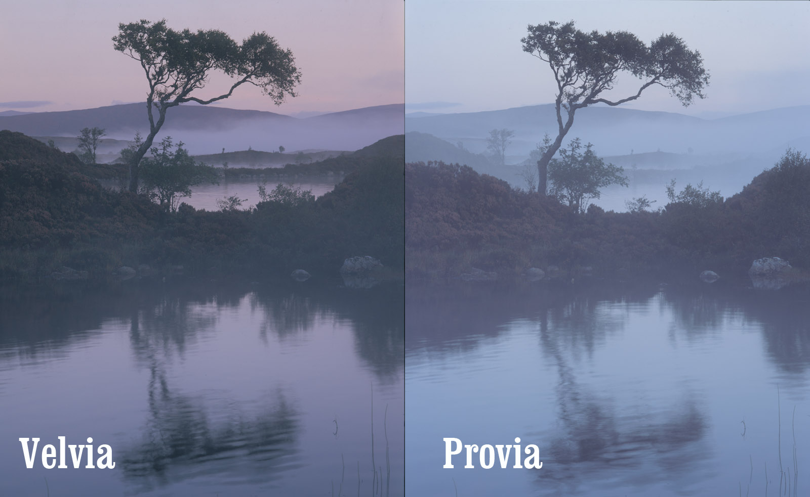 Provia Vs Velvia