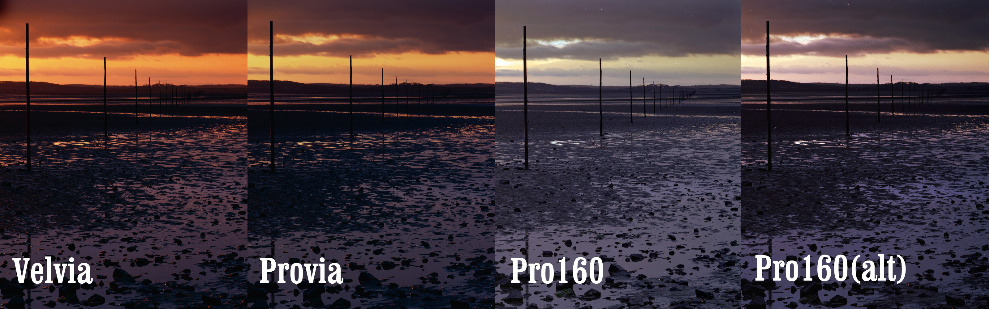 Fuji Velvia, Provia, Astia, and Pro160 Still Developing