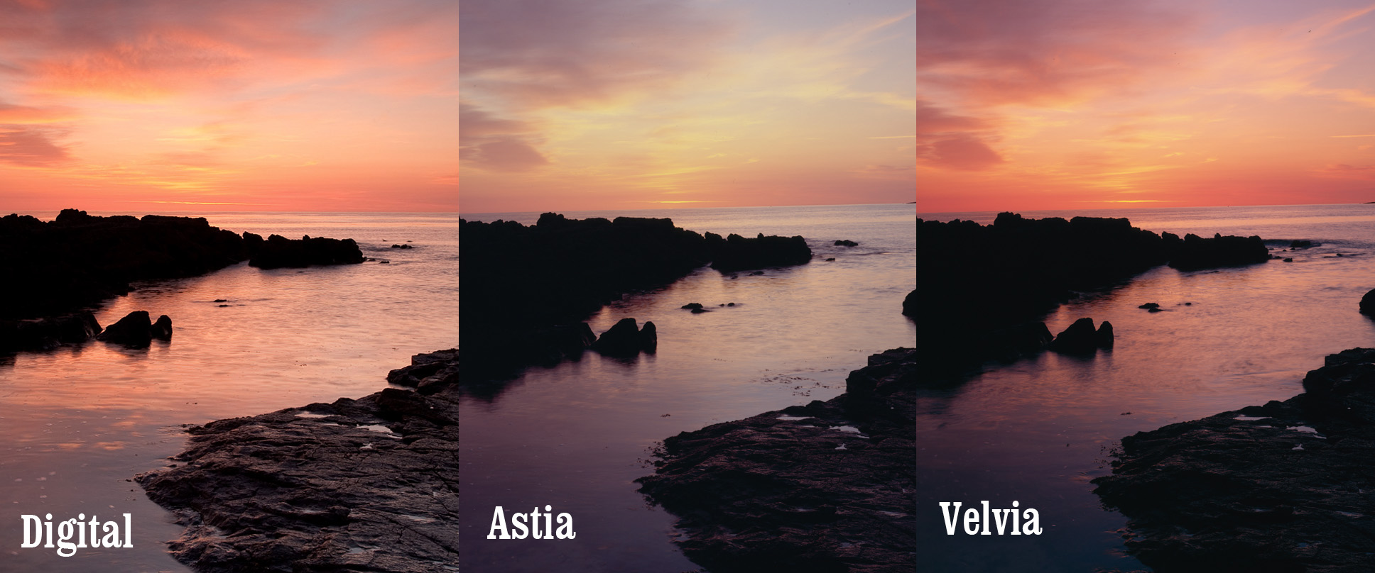 Fuji Velvia, Provia, Astia, and Pro160 Still Developing