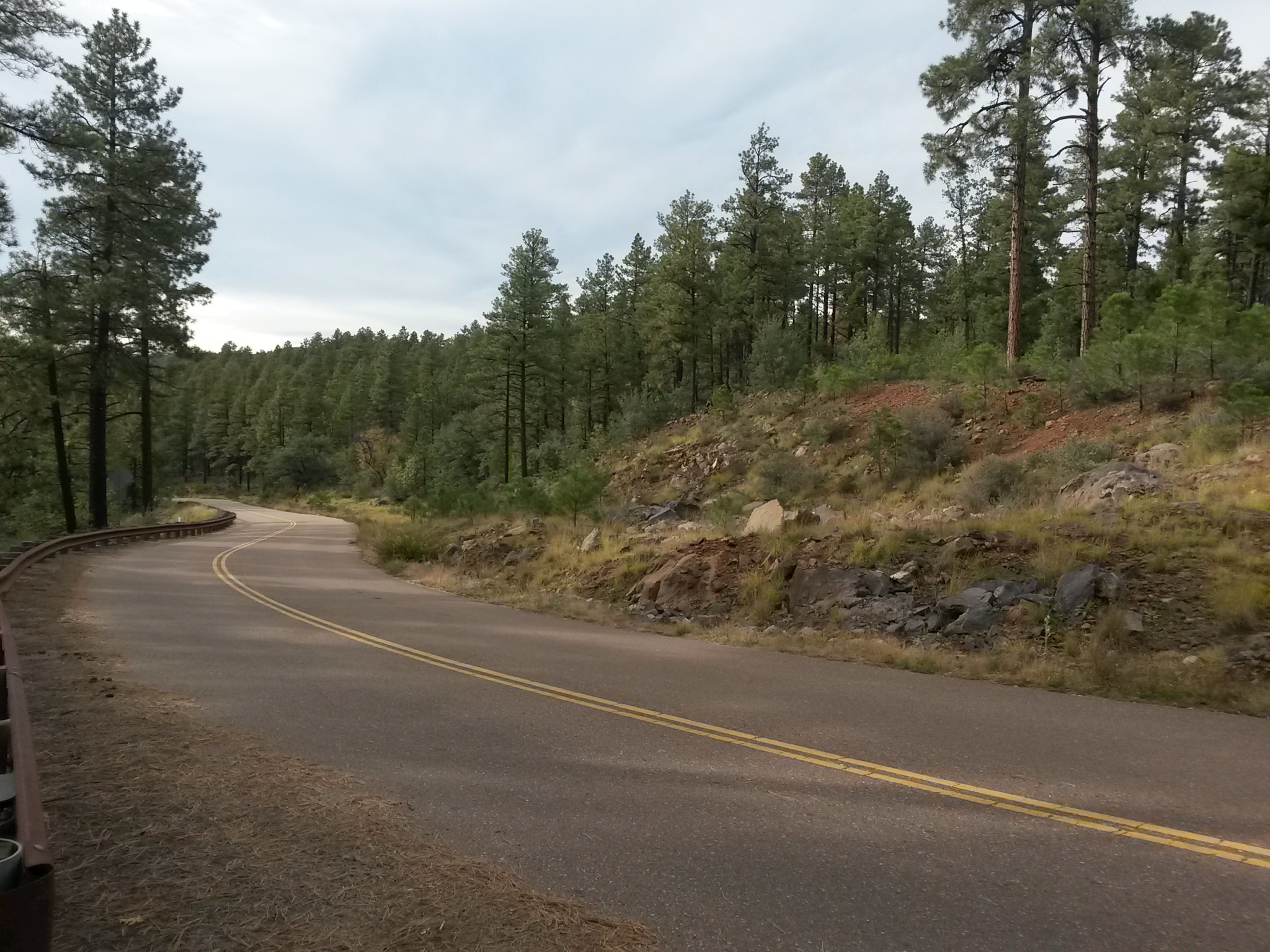 My New Home AZ Tim Racette