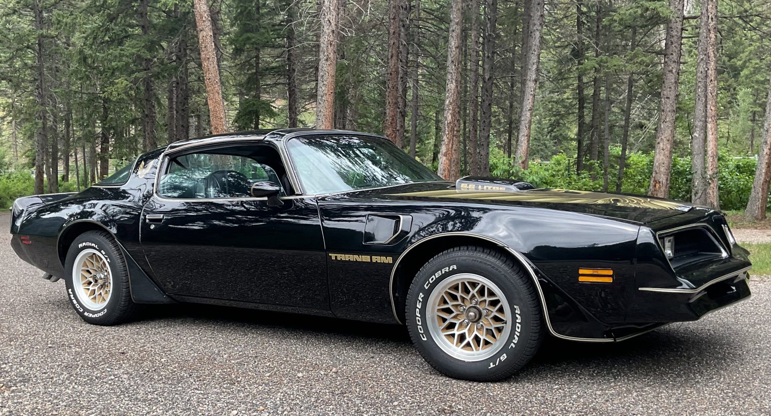 Private Car Rental Bozeman Montana