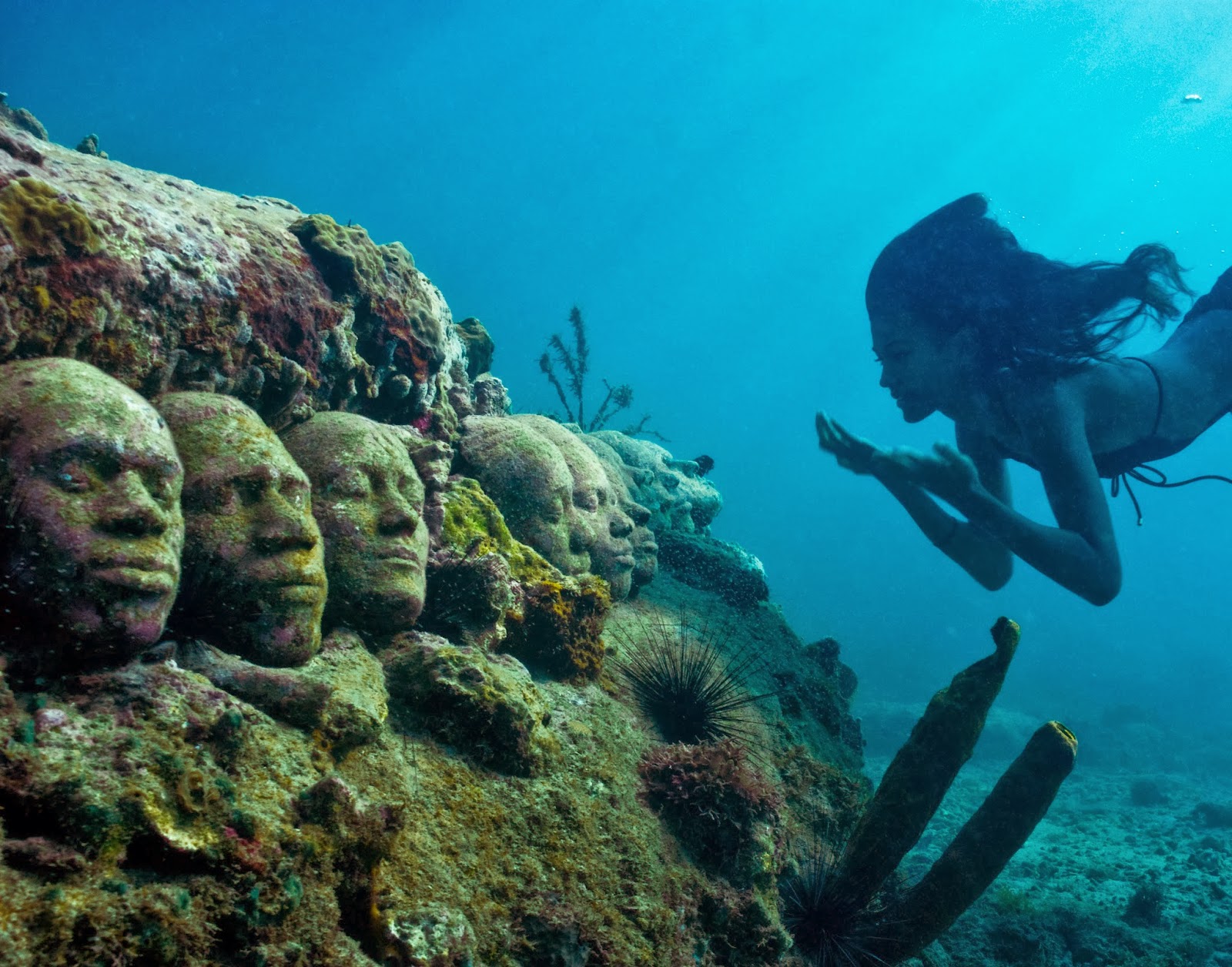 Children of the Earth…Children of the Sea… NOTICE We've Moved… The