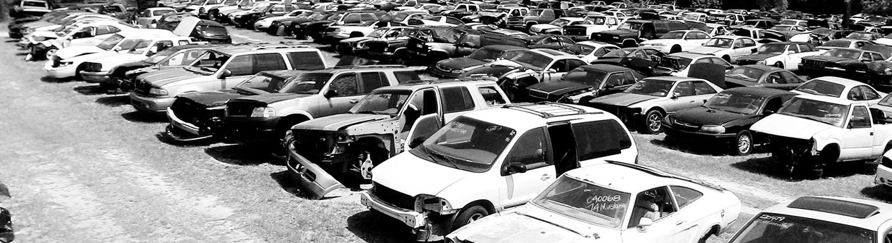 South Carolina Auto Salvage Yards