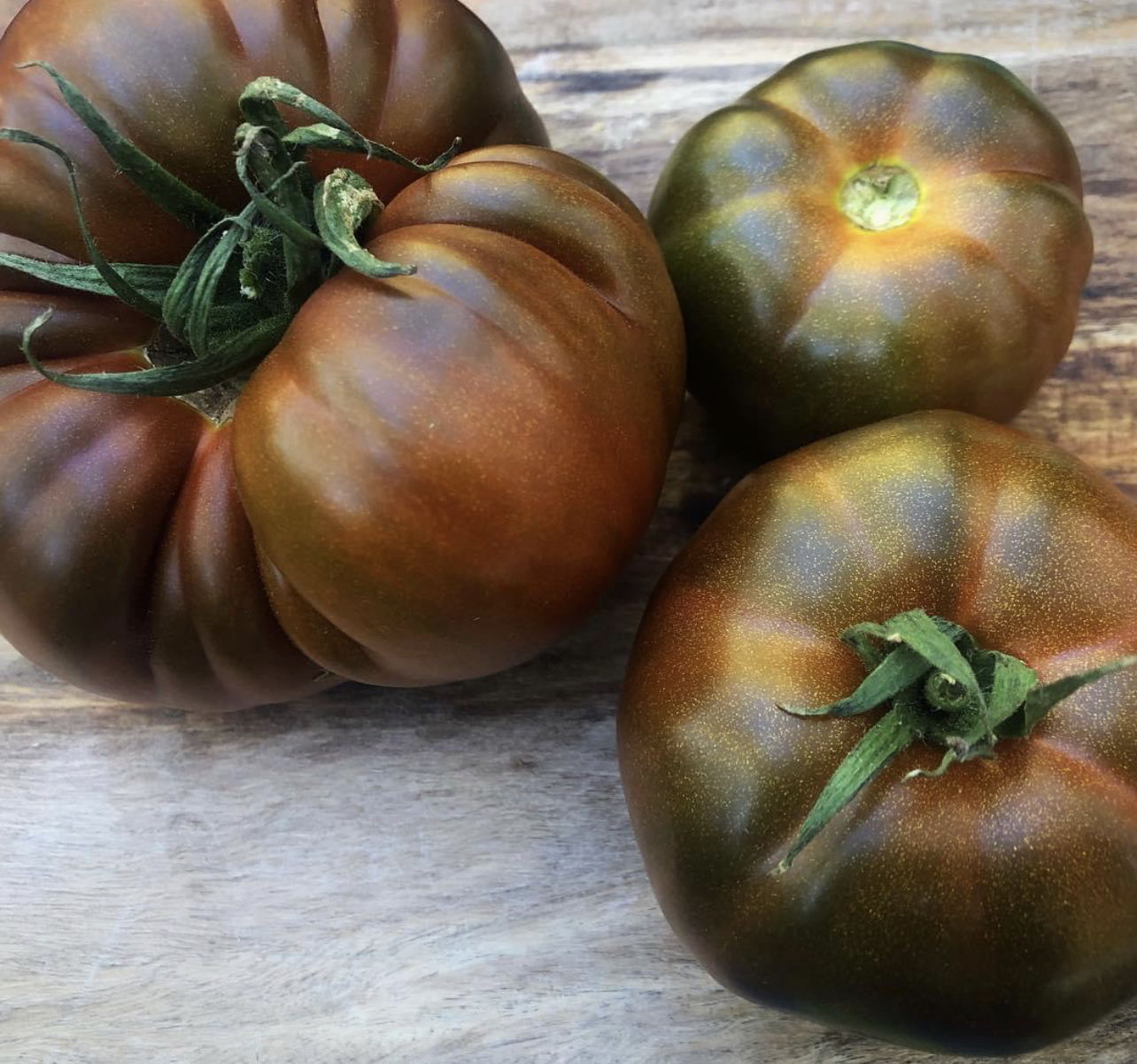 Black Russian Tomato Seeds Heirloom Tim's Tomatoes