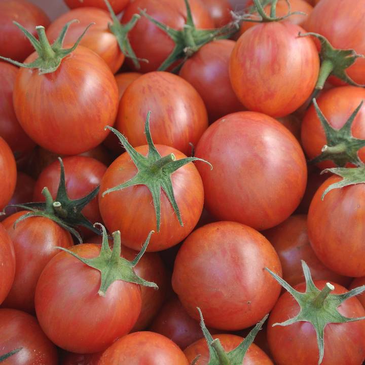 Pink Bumble Bee Tomato Seeds Tim's Tomatoes