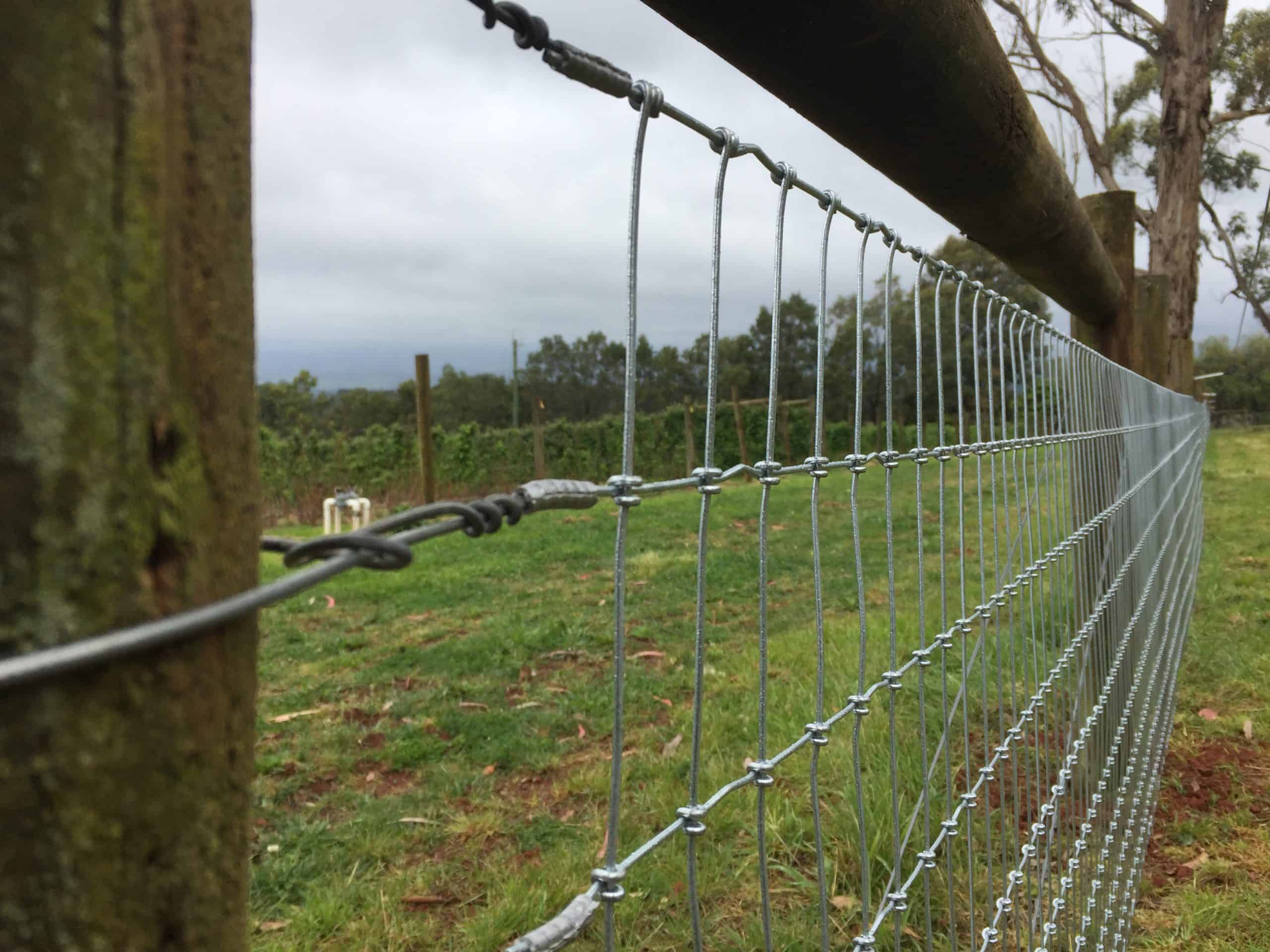Is There an “Ultimate” Farm Fence? Tim Thompson