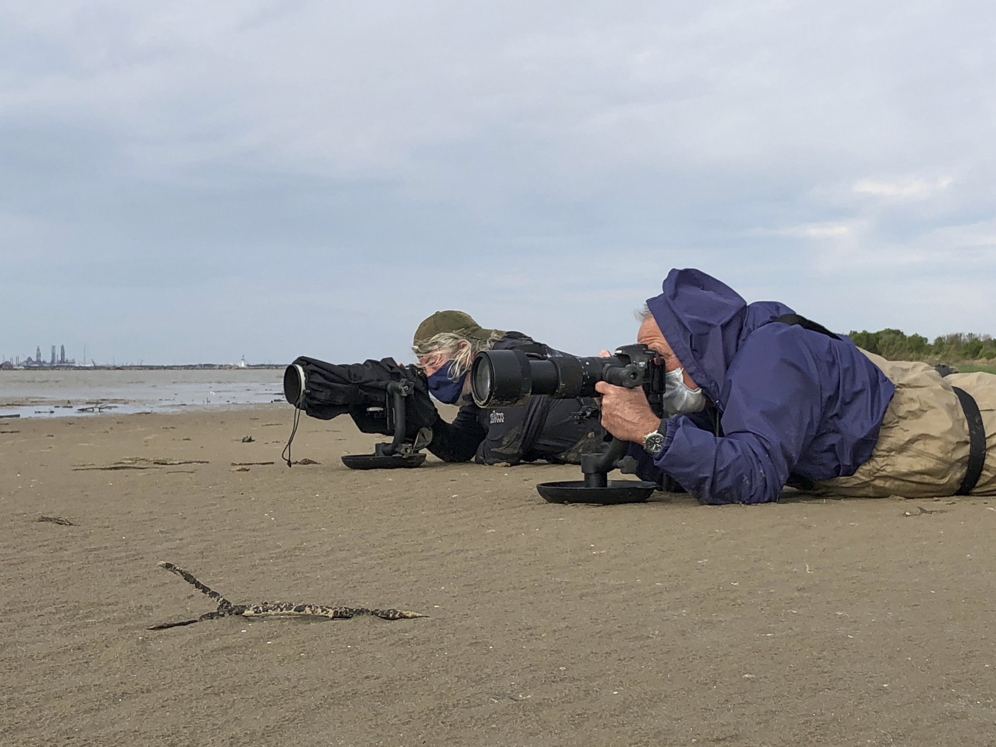 Skimmer ground pod Tim Timmis Photography