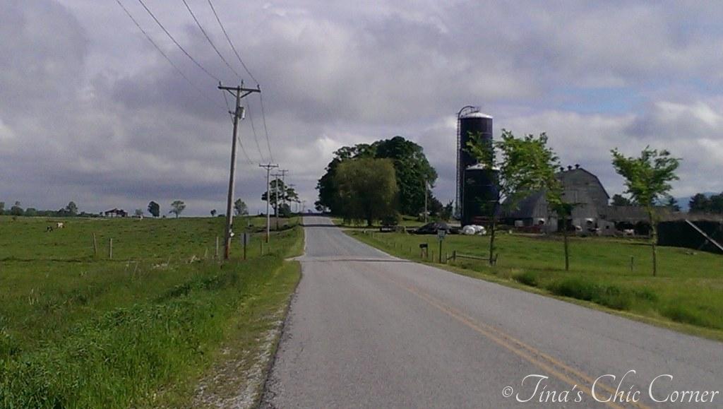 Poppy Seed Coffee Cake Tina's Chic Corner