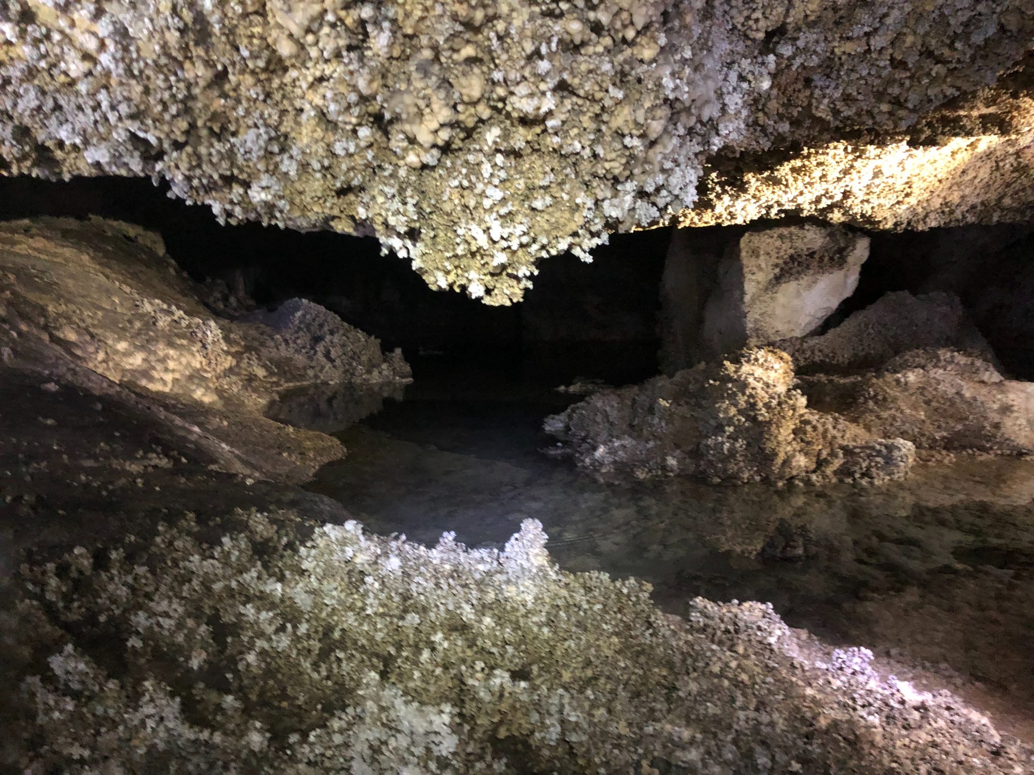 Carlsbad Caverns An Underground Cathedral Tin Can Pilgrim