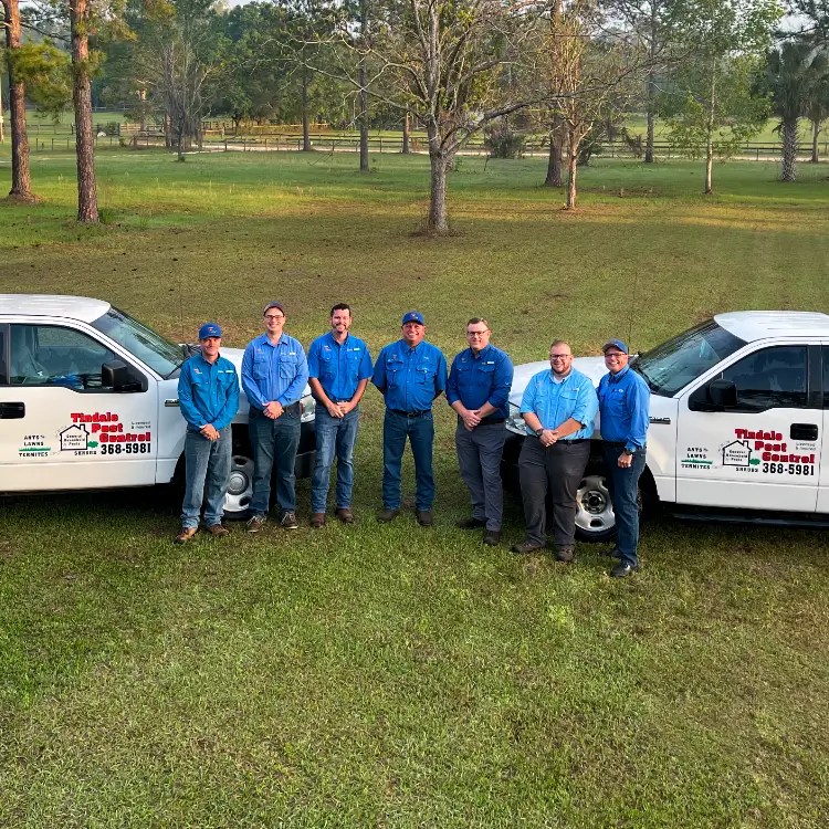Tindale Pest Control Ocala
