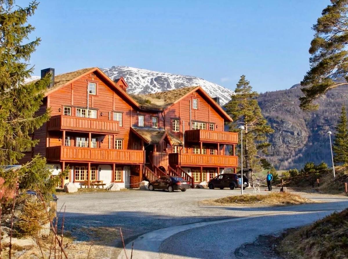 Tinden Apartments 305 in Hemsedal, Norway