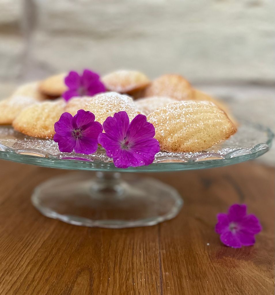 Madeleines Tines. Food. Passion