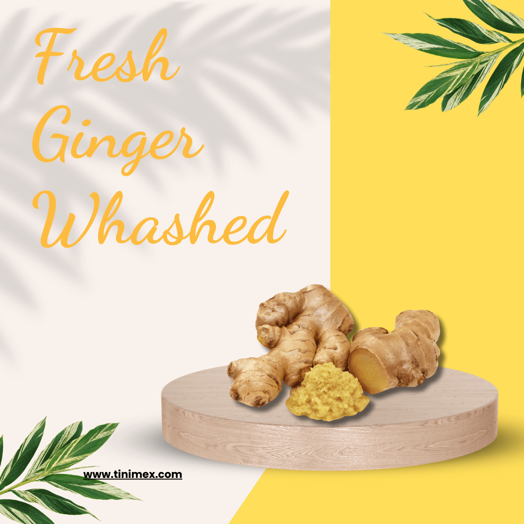 Relief in 1 Cup Ginger for Nausea and Digestive Comfort TINIMEX