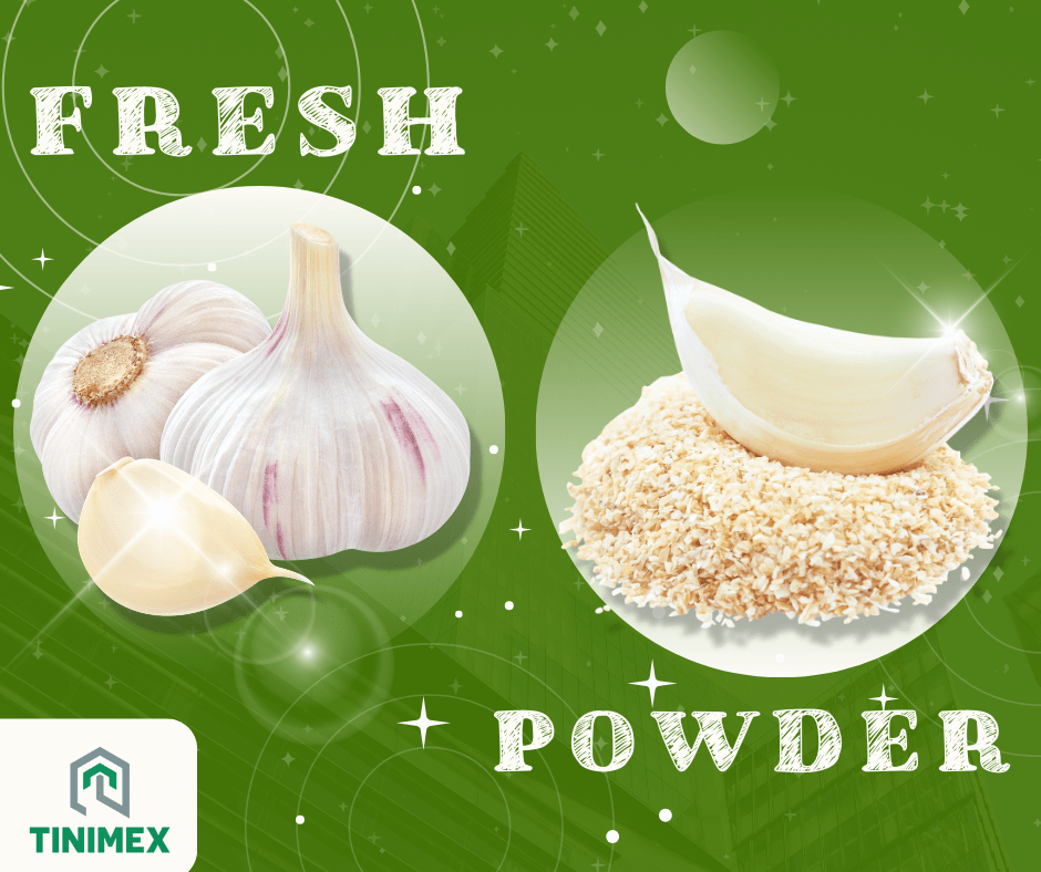 Garlic Powder vs Fresh Garlic The secret to decoding culinary dilemmas